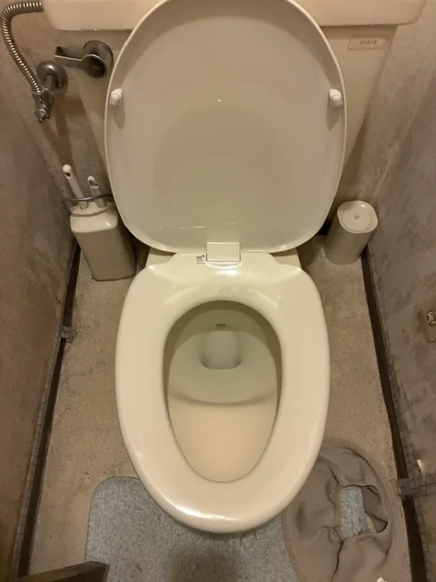 川口市　トイレ普通便座交換（便座の割れによる交換）
